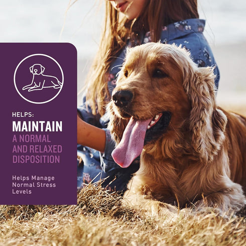VetIQ Calming Support Supplement for Dogs, Calming Chews Help Manage Stress and Promote Relaxation, Anxiety Relief for Dogs, Made in The USA, 60 C...