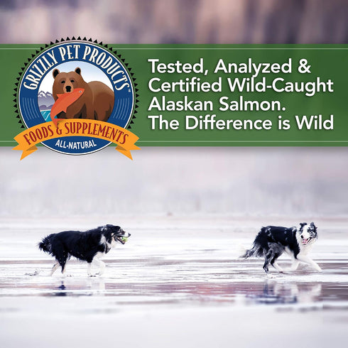 Grizzly Algal Plus Omega Fatty Acids Supplement for Dogs & Cats, 8 Fl Oz - Vegan, Plant-Sourced & Made in USA Algal Oil Omega 3-6-9, Healthy Skin ...