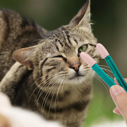POPETPOP Cat Dog Tear Stain Remover: Multifunctional Dog Eye Comb Brush 2pcs Mini Pets Grooming Comb for Dogs Cats Puppy Kitten Removing Crust and...