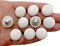 PEPPERLONELY 10PC Leather Covered Buttons with Shank Sew On for Leather Clothes Dress Coat Jeans Sofa Decoration Crafts, 15mm, White...