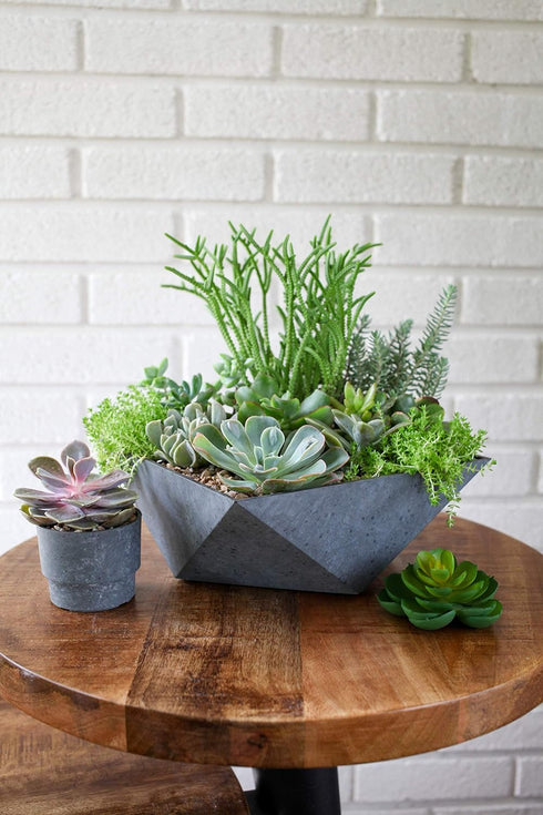 The HC Companies 8 Inch Deco Faceted Plastic Succulent Bowl - Decorative Indoor Planter with Drainage Hole, Vanilla Bisque...