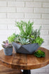 The HC Companies 8 Inch Deco Faceted Plastic Succulent Bowl - Decorative Indoor Planter with Drainage Hole, Faux Concrete...