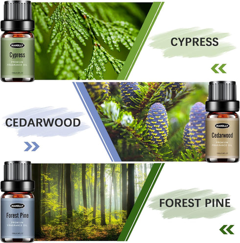 Woody Essential Oils Set, Men Scents Fragrance Oil Aromatherapy Essential Oils Kit for Diffuser (6x10ML) - Sandalwood, Cedarwood, Teakwood, Agarwo...