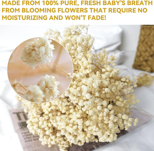 Baby Breath Flower...