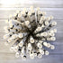 Dog Theme Paw Print Paper Drinking Straws - Black White - 7.75 inches - 50 Pack - Outside The Box Papers Brand...