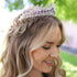 AW BRIDAL Tiaras and Crowns for Women Purple Crystal Princess Tiara - Queen Crown Headband for Halloween Costume Party Prom Wedding Christmas Hair...