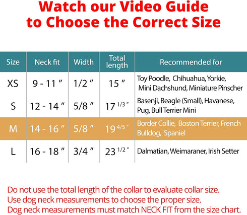 BRONZEDOG Rolled Leather Dog Collar for Small Medium Large Dogs with QR ID Tag (M: 14-16 Inch, Teal)...