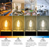 6 Pack LED Edison Bulbs, Dimmable G25 LED Bulb, 2200K Warm White, E26 Base, 4W(40W Equivalent), 320LM, Amber Glass, Patented Flexible LED Spiral F...