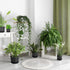 Plant Pots, Indoor Outdoor Plastic Plant Flower Pots with Multiple Drainage Holes and Tray for Garden Plant, 7 inch Planter Pots Suitable for All ...