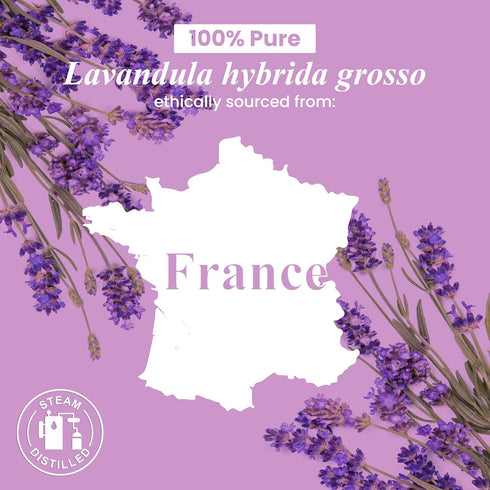 Handcraft Blends Lavender Essential Oil – Huge 4 Fl Oz – 100% Pure and Natural – Premium Grade Essential Oil for Diffuser and Aromatherapy, Skin, ...