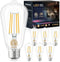 GOLSPARK Edison Bulbs 60 Watt Equivalent, E26 LED Bulb Soft White 3000K, 800LM, 6W 120V CRI85, E26 Base, ST58 Clear Vintage Light Bulbs for Living...