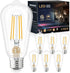 GOLSPARK Edison Bulbs 60 Watt Equivalent, E26 LED Bulb Soft White 3000K, 800LM, 6W 120V CRI85, E26 Base, ST58 Clear Vintage Light Bulbs for Living...