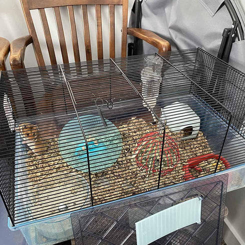 10 Pack Rabbit Cages Door Metal Finger Spring Latch Hook Multi-Functional Pet Cages Door Spring Latch for Fixing Small Animal, Rabbit, Dog, Cat, P...