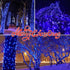 100LIGHTS BLUE Extra-Bright With End Connectors Christmas Decorative Lights 5.98m UL Certified Mini String Light Set Waterproof for Home Garden Ho...
