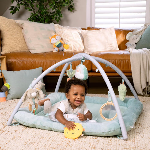 Ingenuity Calm Springs Plush Activity Pal BPA-Free Cloud Teether, Multi-Texture Fabrics, Sheppy...
