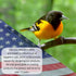 Feeder Fresh Bird Feeder and Seed Protector | Keeps Bird Seed for Outside Feeders Clean, Dry and Fresh Preventing Bird Feeder Seed from Caking | W...