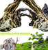 8 Pack Natural Driftwood for Aquarium, Aquarium Decor Spider Wood Freshwater Fish Tank Reptile Driftwood Branch (3.15"- 4")...