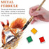 Professional Watercolor Paint Brushes, Round Squirrel Hair Paint Brush Set for Art Painting, Gouache, Fine Detailing, Acrylic, Gouache, Oil (4 Bru...