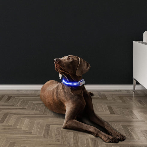 Led Dog Collar 1000 ft Night Visibility LED Dog Leash - Padded Double Traffic Handle |10hr Battery Life, USB-C Quick Charging Light Up Reflective ...