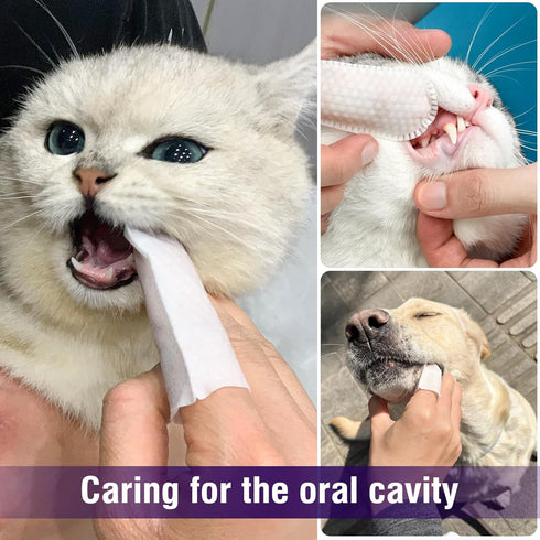 HavenJanny 50pcs Pet Teeth Cleaning Wipes for Dogs and Cats, Dog Dental Wipes for Reducing Plaque and Freshening Breath, Disposable Gentle Cleanin...