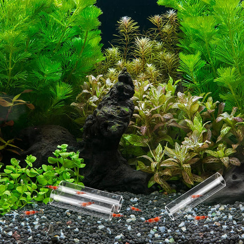 WEAVERBIRD 3-Tube Fish Shrimp Feeder Breeding Tube, Aquarium Fish Tank Pipe Shelter Acrylic Transparent Tube Fish Tank Shelter Decorations...