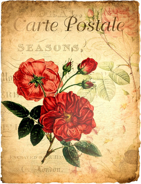 Carte Postale Rice Paper, 8 x 10.5 inch - 6 x Different Printed Mulberry Paper Images 30gsm Visible Fibres for Decoupage Crafts Mixed Media Collag...