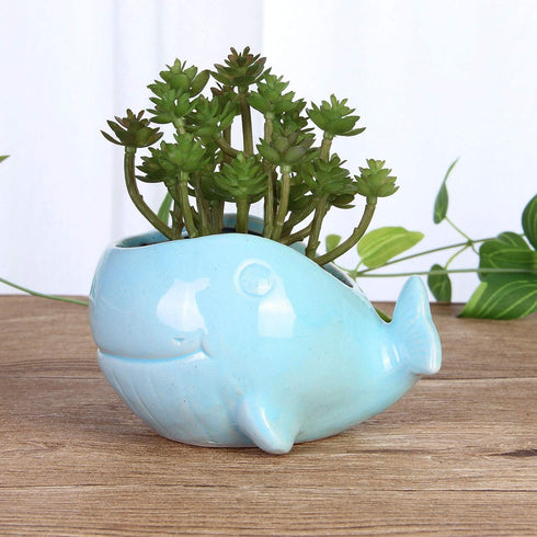 VanEnjoy 5" Ceramic Succulent Pot, Cute Ocean Blue Seashell Series, Conch Shaped Cactus Pot Planter, Flower Pot, Pottery Bonsai Pot (Whale)...