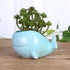 VanEnjoy 5" Ceramic Succulent Pot, Cute Ocean Blue Seashell Series, Conch Shaped Cactus Pot Planter, Flower Pot, Pottery Bonsai Pot (Whale)...