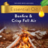 Air Wick Essential Mist, Essential Oil Diffuser Refill, Bonfire & Crisp Fall Air, LIMITED EDITION Air Freshener & Fragrance Mist, 0.67 Fl Oz...