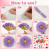 ojustbeok April Showers Bring May Flowers Bulletin Board Decorations Spring Cutouts with 3D Tissue Paper Pompoms Spring Bulletin Board Spring Flow...