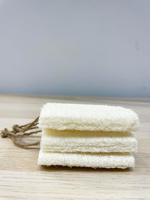 4" Plant Sponge 100% Natural Loofah Dish Sponges, Natural Dishwashing Sponges for Kitchen, Kitchen Scrubber Loofahs - 24 Pack...