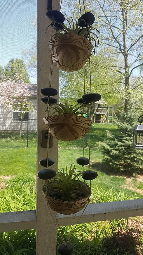 Artificial Air Plants Faux Succulents Plants Unpotted Small Tillandsia Look Real in Flocked Green Premium Crafting DIY Floral Decor for Home Garde...