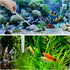 Fish Tank Cleaning Tools, 6 pcs Aquarium Cleaning Tools, Feeder Tools Kit, Aquarium Plants Cleaner, Algae Scraper for Glass Aquariums...
