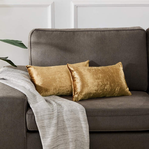 GIGIZAZA Gold Velvet Decorative Throw Pillow Covers for Sofa Bed 2 Pack Soft Cushion Cover 12x20...