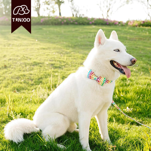 Heart Dog Collar with Colorful Bow Tie, Pride Pet Collar Adjustable Cotton Collar Valentines Gifts for Small Medium Large Boys Girls Dogs, M...