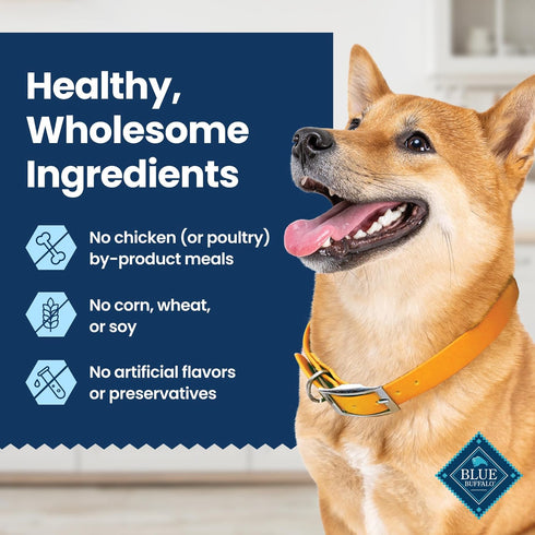 Blue Buffalo Medium Dental Chews for Dogs, Daily Dental Care Dog Treats Made in the USA with Natural Ingredients, Chicken & Spearmint (14 Count)...