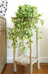 FiveSeasonStuff Versatile Decor Delight: Lush 28ft 10-Vine Set of Elegant Artificial Silk Clematis Leaves for Any Occasion or Event...