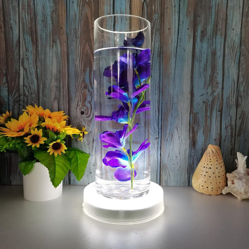 LARDUX Led Light Base - 6 Inch Round Display Pedestal Light Stand Plate Flat for 3D Crystal Cube Glass Art Acrylic Statues - USB Charge or Battery...