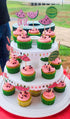 JeVenis 25 PCS Watermelon Cupcake Topper One in a Melon Cupcake Topper One in a Melon Party Decoration Watermelon Party Supplies...