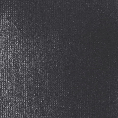 Liquitex BASICS Acrylic Fluid Paint, 250ml (8.5-oz) Bottle, Iridescent Graphite...