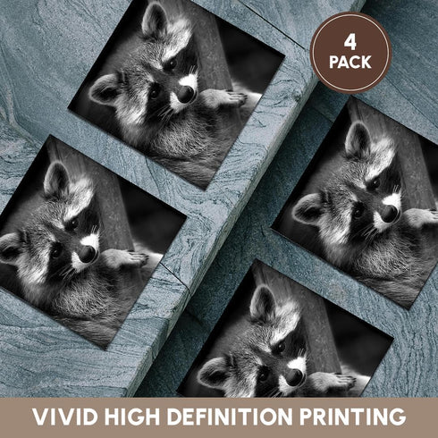 3dRose CST_173001_3 Baby Raccoon Black and White Digital Image Ceramic Tile Coasters, Set of 4...