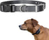 e-Collar Replacement Strap - Shock Collar Replacement Collar, Fence Collar Replacement, Compatible with most Brands (1", Gray)...