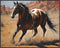 Posterizer 1 pcs- Pretty brown and white horse running in the desrt-Art for Animal Lovers- Gift for Men Women Entrepreneur Teens-decor for Bedroom...