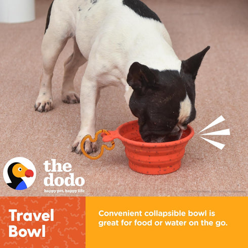 The Dodo Collapsible Dog Bowl, Red; Travel Dog Bowl That Folds Flat and Clips with Carabiner for Easy Storage and Carry...