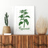 20 Pcs Herb Stencils for Painting Reusable Kitchen Garden Stencils Plastic Plant Stencils for Crafts Painting Art Stencils for DIY Scrapbook Wall ...