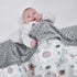 Baby Blanket for Boys Girls Super Soft Blanket,Fluffy Warm Lightweight Baby Receiving Blankets,Double Layer with Dotted Backing for Toddler Nurser...