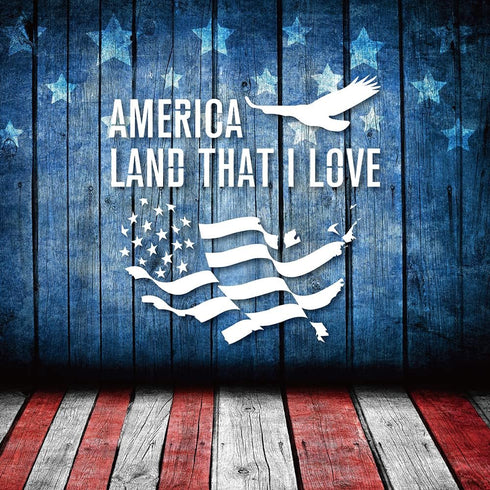 Hying 9PCS Patriotic 4th of July Stencils for Painting on Wood Wall, 7.9 x 7.9 Inch Reusable 4th of July Stencils, American Flag USA Patriotic Ste...