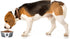 PetRageous 15001 Fiji Stainless Steel Non-Slip Dishwasher Safe Dog Bowl 3.75-Cup Capacity 6.75-inch Diameter 2.5-inch Tall for Medium and Large Do...