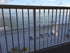 KidKusion Deck Guard | Made in USA | 16' L x 38" H | Clear | Outdoor Balcony and Stairway Deck Rail Safety Net | Child Safety; Pet Safety; Toy Saf...