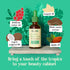 Jamaican Black Castor Oil for Hair Growth - Pure Black Jamaican Castor Oil with Jojoba & Sesame Oil, Jamaican Castor Oil for Skin, Hair & Nails, N...